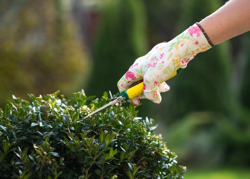 Gardener pruning plants in a Wanstead garden