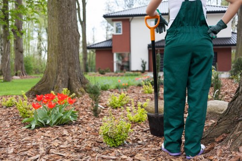 Operatives performing hedge trimming with safety equipment in a residential street